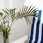La Caleta * לה קאלה דה מיחאס